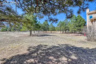 772 Douglas Ave, Palmer Lake, CO 80133 - Photo 46