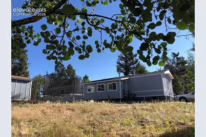 169 Daisy Street, Woodland Park, CO 80863 - Photo 18
