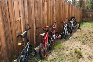 169 Daisy St, Woodland Park, CO 80863 - Photo 22