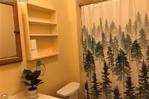 169 Daisy St, Woodland Park, CO 80863 - Photo 18