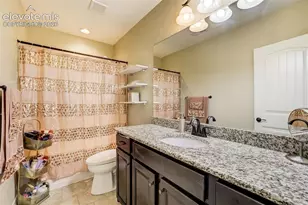 13258 Dominus Way, Colorado Springs, CO 80921 - Photo 40