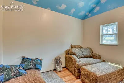 53 Iris Road, Woodland Park, CO 80863 - Photo 34