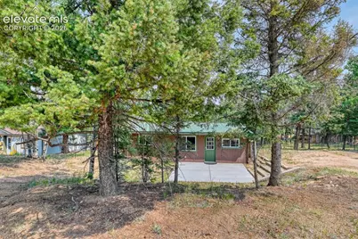 53 Iris Road, Woodland Park, CO 80863 - Photo 42