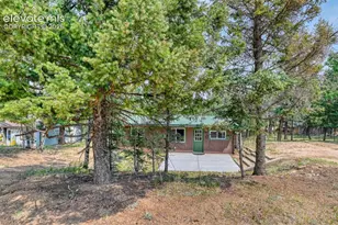 53 Iris Rd, Woodland Park, CO 80863 - Photo 42