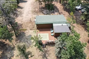 53 Iris Rd, Woodland Park, CO 80863 - Photo 46