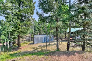 53 Iris Rd, Woodland Park, CO 80863 - Photo 38