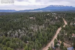 53 Iris Rd, Woodland Park, CO 80863 - Photo 50
