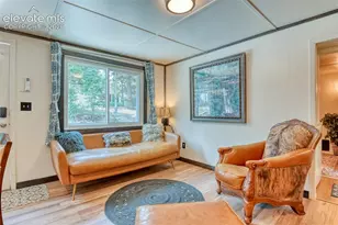 53 Iris Rd, Woodland Park, CO 80863 - Photo 18
