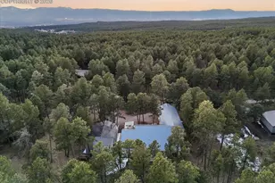 15755 Fool's Gold Ln, Colorado Springs, CO 80921 - Photo 50