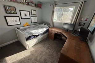 3631 Haven Cir, Colorado Springs, CO 80917 - Photo 14