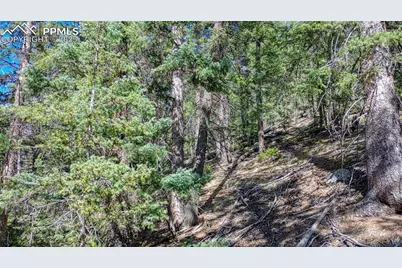 3075 N Mountain Estates Road, Florissant, CO 80816 - Photo 12