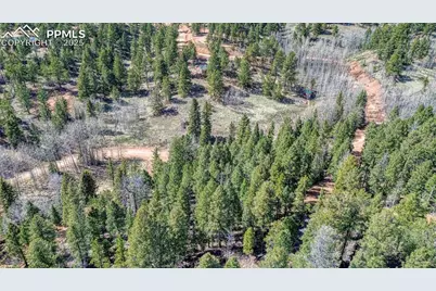 3075 N Mountain Estates Road, Florissant, CO 80816 - Photo 6