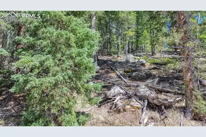 3075 N Mountain Estates Road, Florissant, CO 80816 - Photo 4