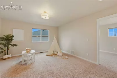 6266 Finglas Drive, Colorado Springs, CO 80923 - Photo 20