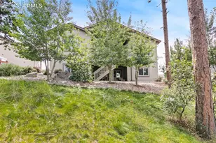 968 Tree Bark Terrace, Monument, CO 80132 - Photo 42