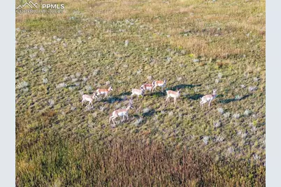 11950 N Log Road, Peyton, CO 80831 - Photo 6