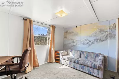 374 Fern Road, Woodland Park, CO 80863 - Photo 16