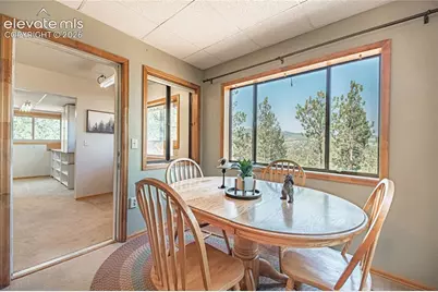 76 Pine Drive, Woodland Park, CO 80863 - Photo 24