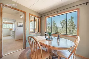 76 Pine Dr, Woodland Park, CO 80863 - Photo 24