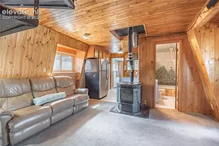 76 Pine Dr, Woodland Park, CO 80863 - Photo 8