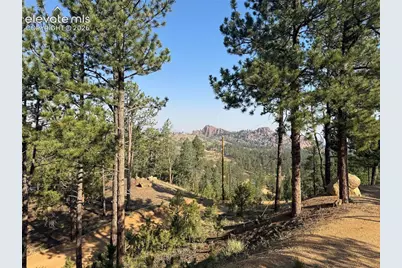 76 Pine Drive, Woodland Park, CO 80863 - Photo 40