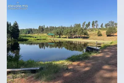 76 Pine Drive, Woodland Park, CO 80863 - Photo 42