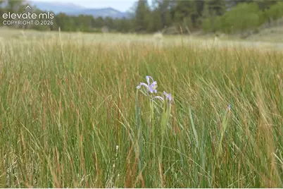 344 Valley Road, Guffey, CO 80820 - Photo 10
