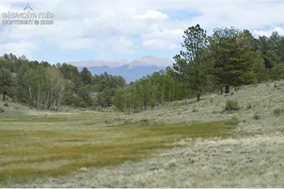 344 Valley Road, Guffey, CO 80820 - Photo 12