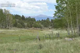 344 Valley Rd, Guffey, CO 80820 - Photo 1