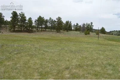 344 Valley Road, Guffey, CO 80820 - Photo 6