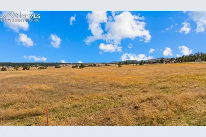 10230 Alamar Way, Colorado Springs, CO 80908 - Photo 16