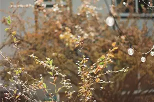 5242 Constitution Ave, Colorado Springs, CO 80915 - Photo 42