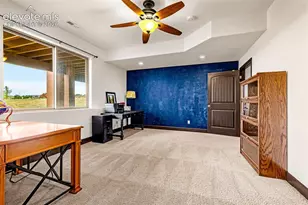 16895 Horizon Ridge Trail, Colorado Springs, CO 80908 - Photo 34