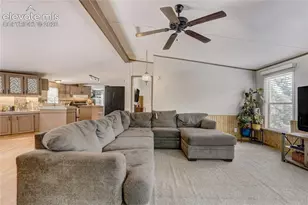 784 Blossom Rd, Woodland Park, CO 80863 - Photo 18
