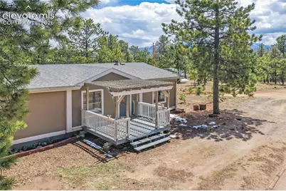 784 Blossom Road, Woodland Park, CO 80863 - Photo 34