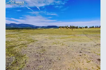 281 County Road 98, Florissant, CO 80816 - Photo 14