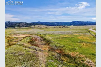 281 County Road 98, Florissant, CO 80816 - Photo 16