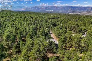 17075 Viscount Ct, Monument, CO 80132 - Photo 50