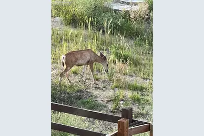 16462 Mountain Flax Drive, Monument, CO 80132 - Photo 38