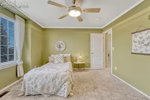 5540 Prairie Schooner Dr, Colorado Springs, CO 80923 - Photo 18