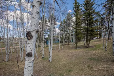 571 Will Scarlet Drive, Divide, CO 80814 - Photo 4