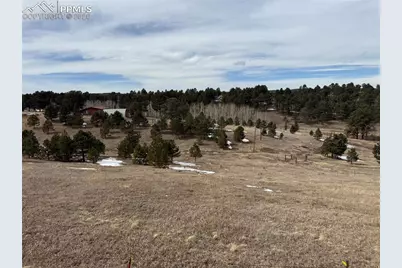 54 Georges Lane, Woodland Park, CO 80863 - Photo 38