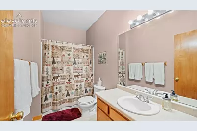 598 Dandy Jim Drive, Cripple Creek, CO 80813 - Photo 24