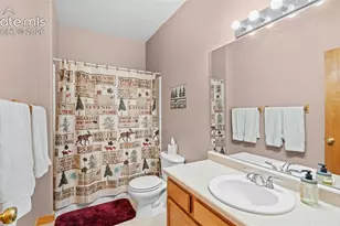 598 Dandy Jim Dr, Cripple Creek, CO 80813 - Photo 24