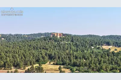 746 Westward Lane, Palmer Lake, CO 80133 - Photo 40