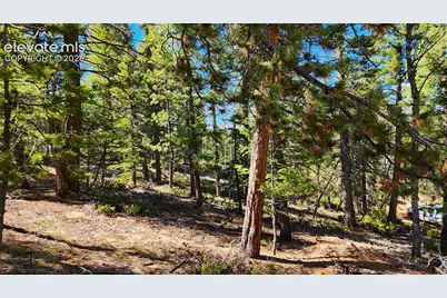 178 Gerka Lane, Florissant, CO 80816 - Photo 10