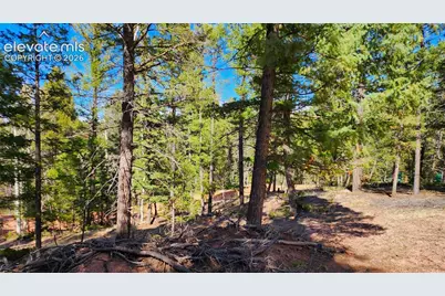 178 Gerka Lane, Florissant, CO 80816 - Photo 2