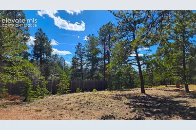 178 Gerka Lane, Florissant, CO 80816 - Photo 4