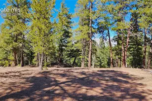 178 Gerka Ln, Florissant, CO 80816 - Photo 1