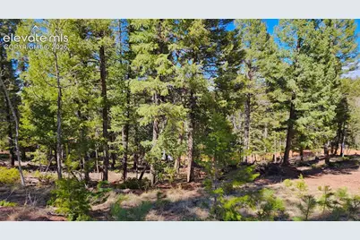 178 Gerka Lane, Florissant, CO 80816 - Photo 8